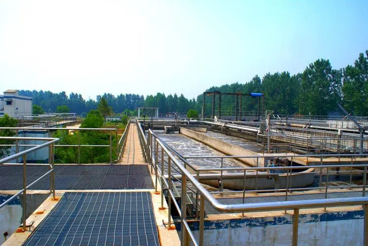 1662424853738137.jpg u=1532048166,1472060677&fm=253&fmt=auto&app=138&f=JPEG.webp.jpg