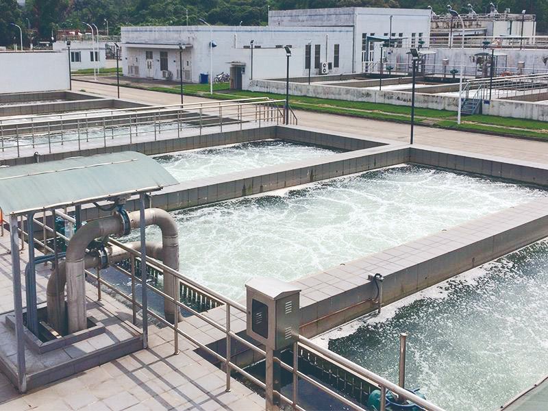 1686100420529066.jpg R-C.jpg